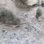 Tumble